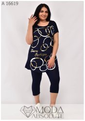 Дачник А 16619